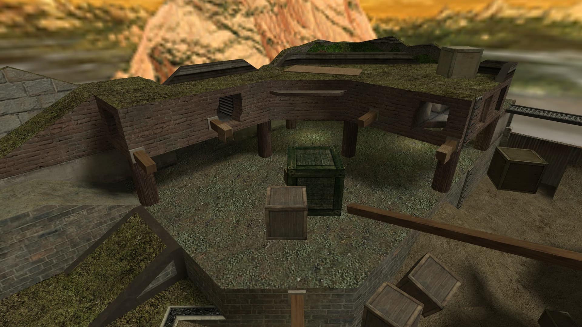 rayish_survival