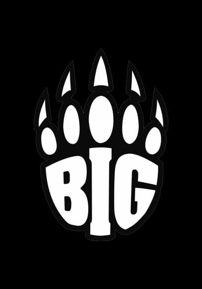 BIG Лого