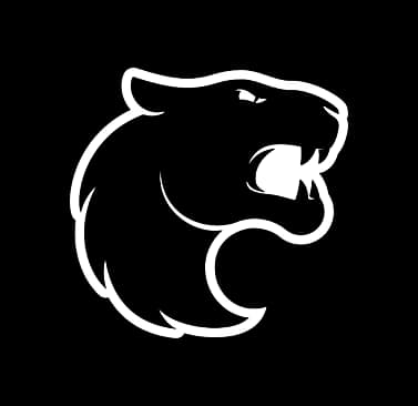 FURIA Logo
