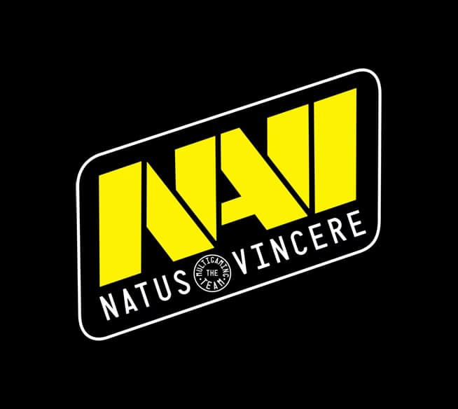 NaVi Logo