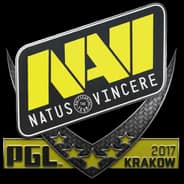 PGL Krakow 2017 Major Graffiti Pack