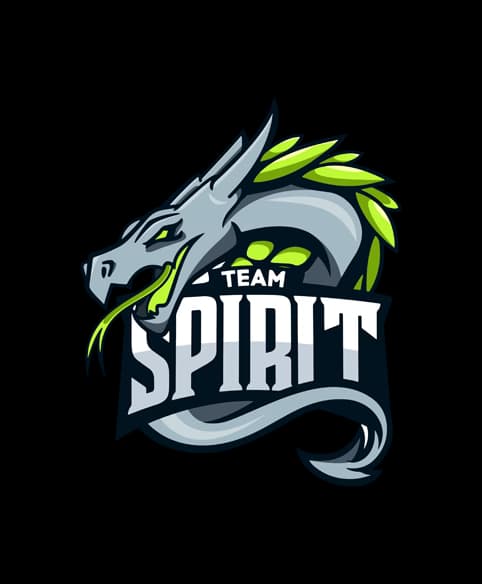 Team Spirit Logo