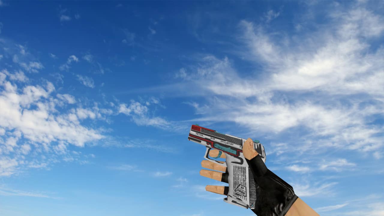 P2000 Tactical v2