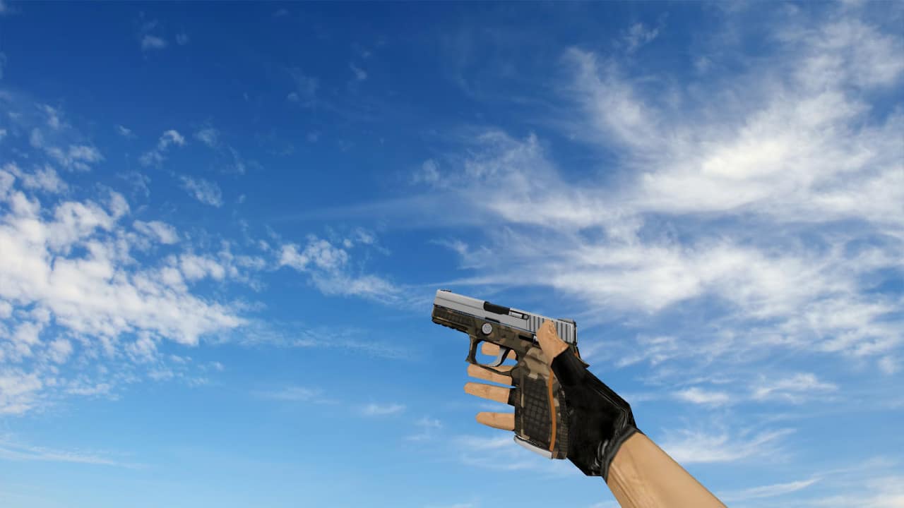 P250 Comebacker