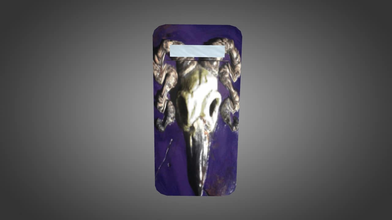 House Valkyrie Shield