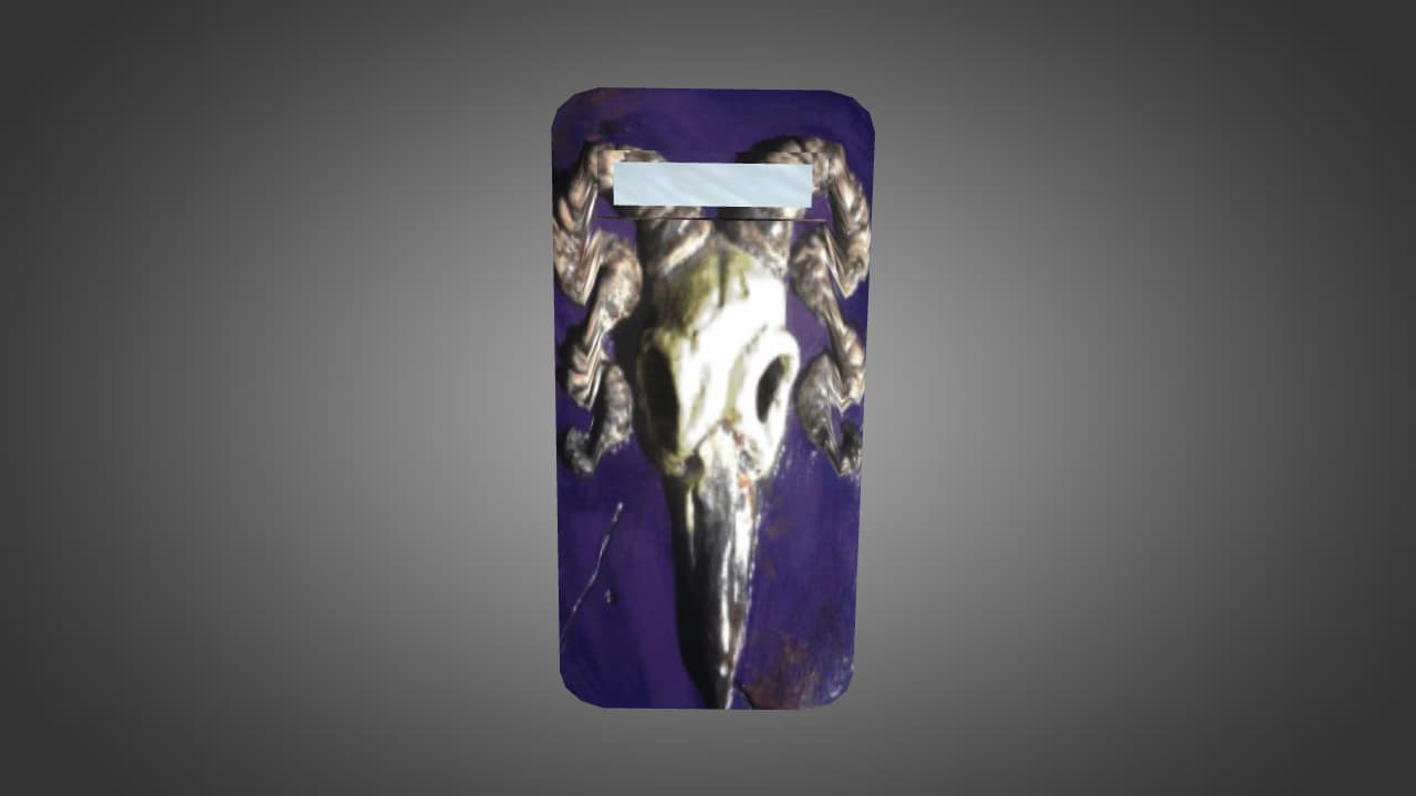 House Valkyrie Shield